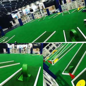 Crazy Golf Course HIre